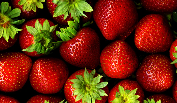 How To Grow Strawberries From Seeds NZ